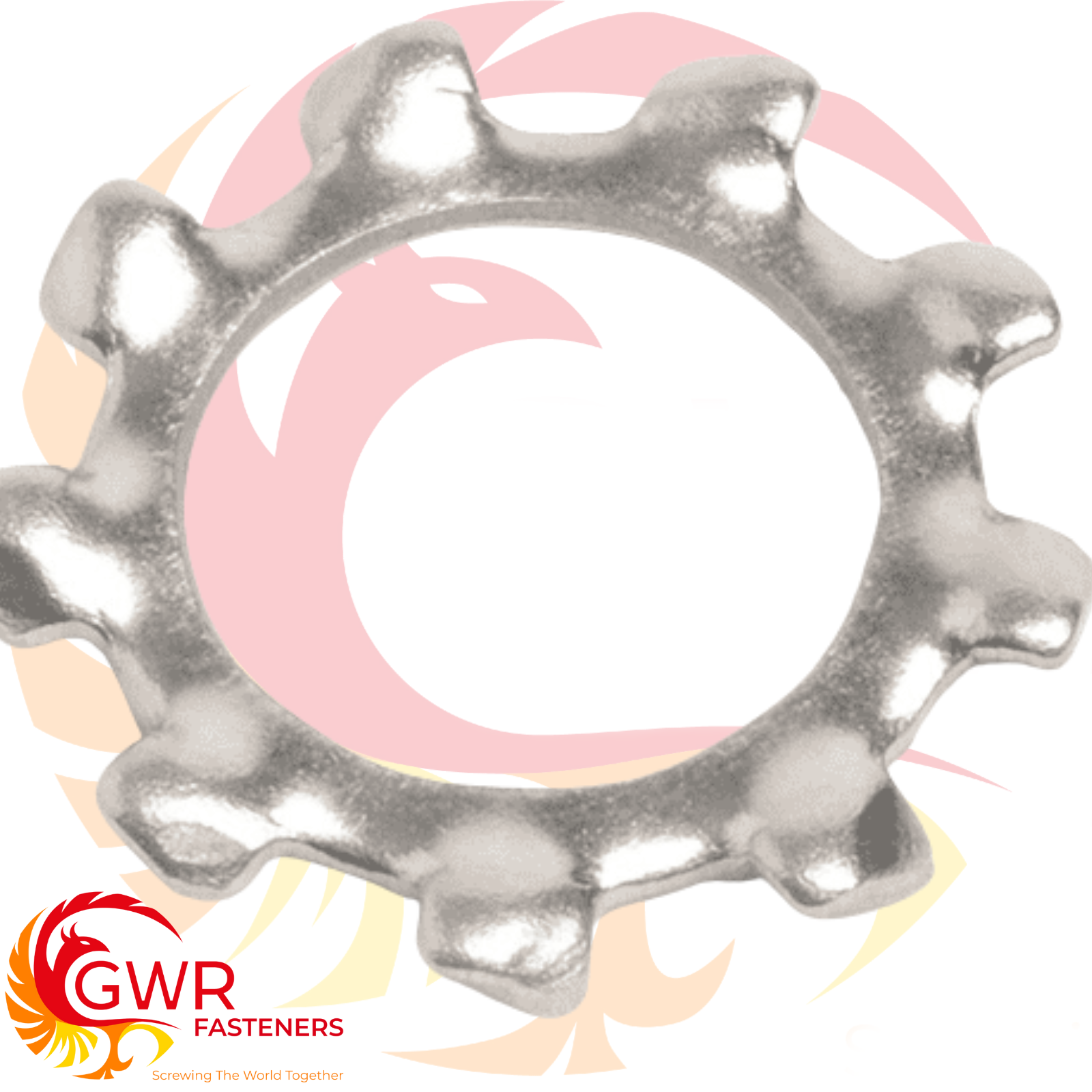 SHAKEPROOF LOCK WASHERS EXTERNAL TOOTHED SERRATED TOOTH A2 STAINLESS STEEL GWR