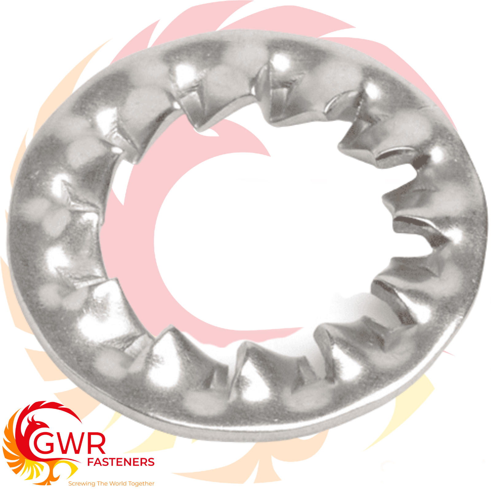 INTERNAL SHAKEPROOF LOCK WASHERS TOOTHED SERRATED TOOTH A2 STAINLESS STEEL GWR